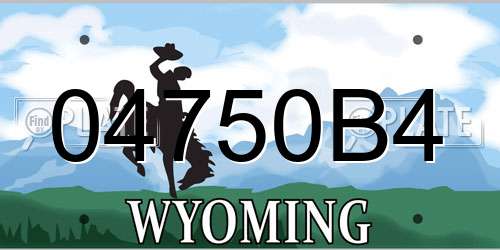 04750B4 Wyoming License Plate