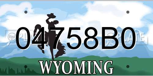 04758B0 Wyoming License Plate