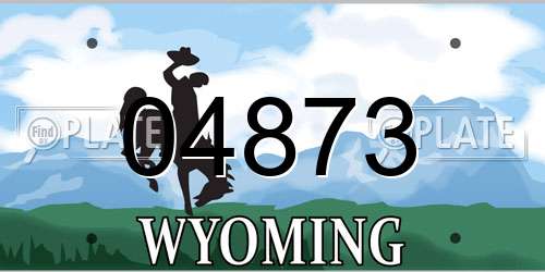04873 Wyoming License Plate