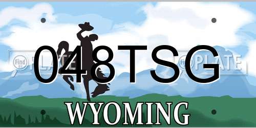 048TSG Wyoming License Plate