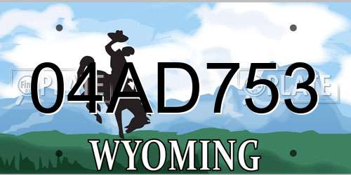 04AD753 Wyoming License Plate