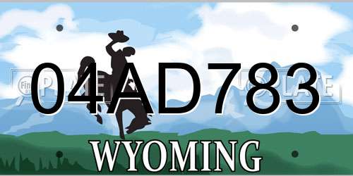 04AD783 Wyoming License Plate
