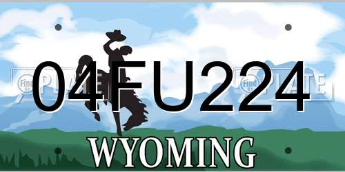 04FU224 Wyoming License Plate