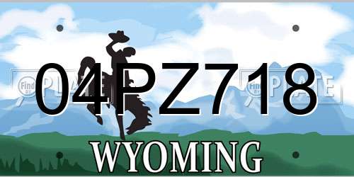 04PZ718 Wyoming License Plate