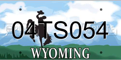 04TS054 Wyoming License Plate