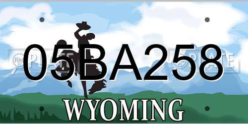 05BA258 Wyoming License Plate
