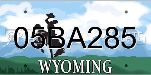 05BA285 Wyoming License Plate