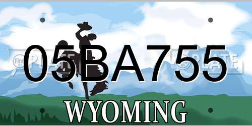 05BA755 Wyoming License Plate