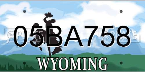 05BA758 Wyoming License Plate