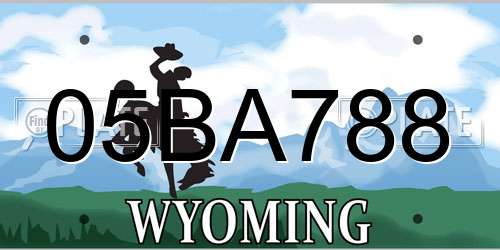 05BA788 Wyoming License Plate
