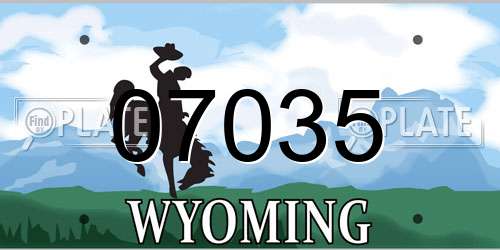 07035 Wyoming License Plate