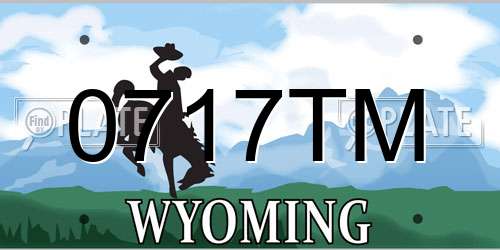 0717TM Wyoming License Plate