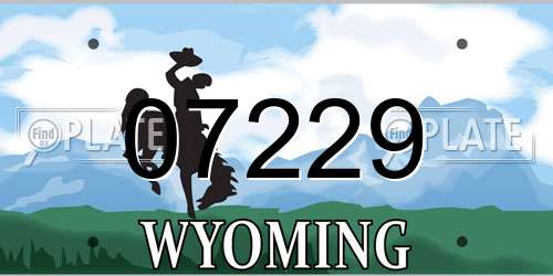 07229 Wyoming License Plate