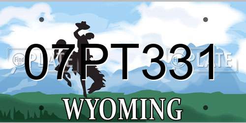 07PT331 Wyoming License Plate