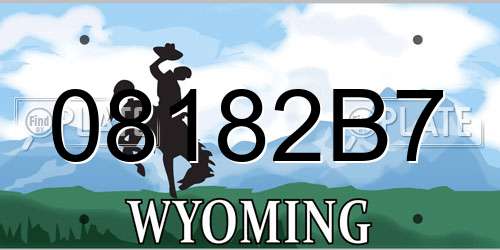 08182B7 Wyoming License Plate