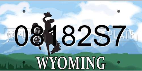 08182S7 Wyoming License Plate