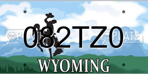 082TZ0 Wyoming License Plate