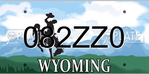 082ZZ0 Wyoming License Plate