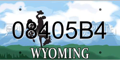 08405B4 Wyoming License Plate