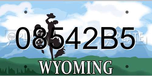08542B5 Wyoming License Plate