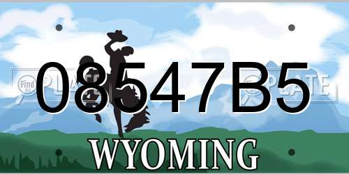 08547B5 Wyoming License Plate