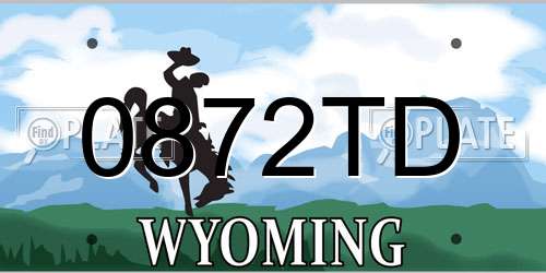 0872TD Wyoming License Plate