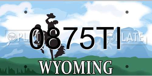 0875TI Wyoming License Plate