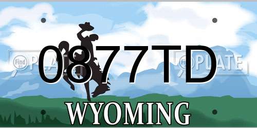 0877TD Wyoming License Plate