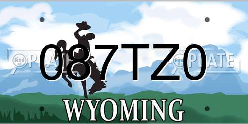 087TZ0 Wyoming License Plate