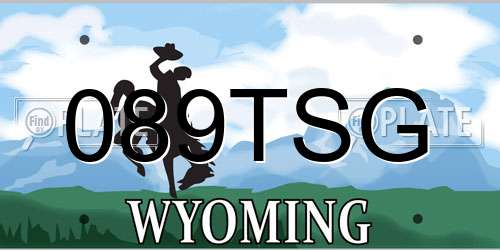 089TSG Wyoming License Plate