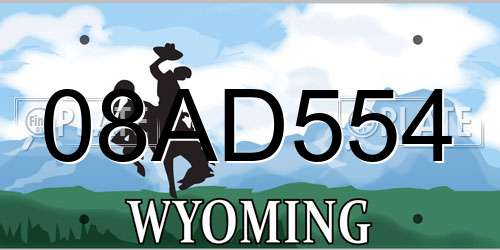 08AD554 Wyoming License Plate