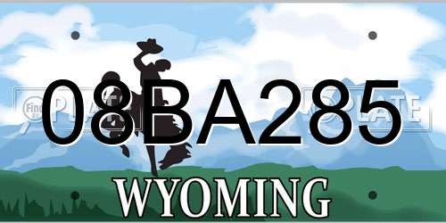 08BA285 Wyoming License Plate