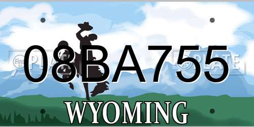 08BA755 Wyoming License Plate