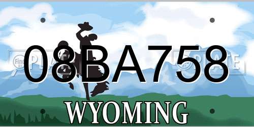 08BA758 Wyoming License Plate