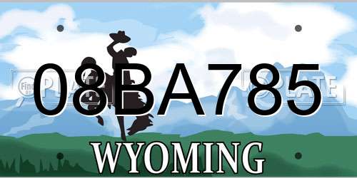 08BA785 Wyoming License Plate