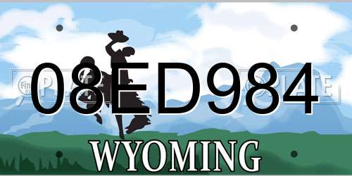 08ED984 Wyoming License Plate
