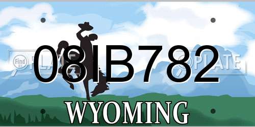 08IB782 Wyoming License Plate