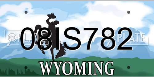 08IS782 Wyoming License Plate