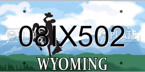 08IX502 Wyoming License Plate