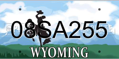 08SA255 Wyoming License Plate