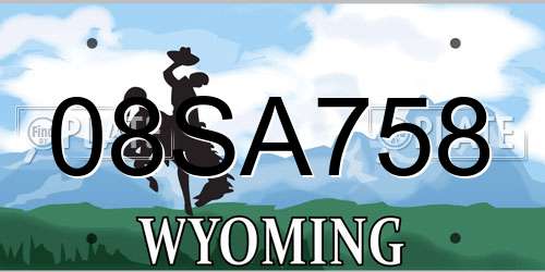 08SA758 Wyoming License Plate