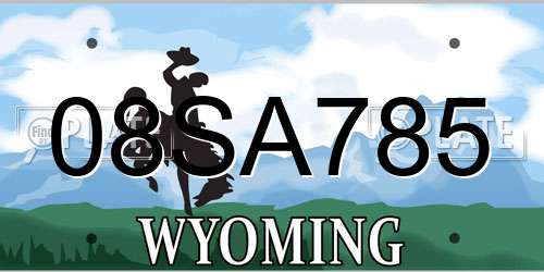 08SA785 Wyoming License Plate