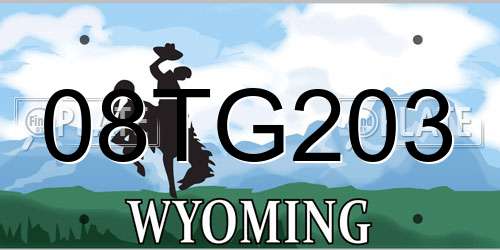 08TG203 Wyoming License Plate