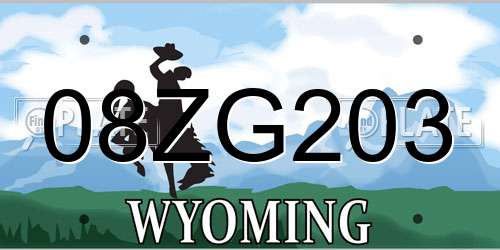 08ZG203 Wyoming License Plate
