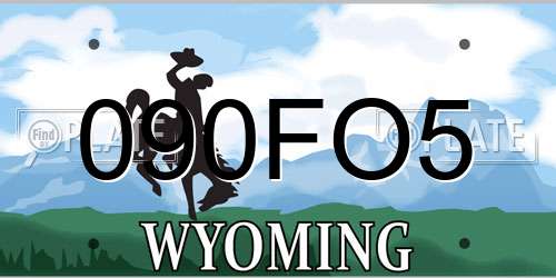 090FO5 Wyoming License Plate