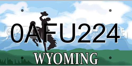 0AFU224 Wyoming License Plate