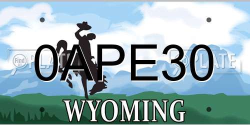 0APE30 Wyoming License Plate