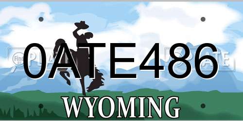 0ATE486 Wyoming License Plate