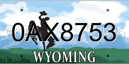 0AX8753 Wyoming License Plate