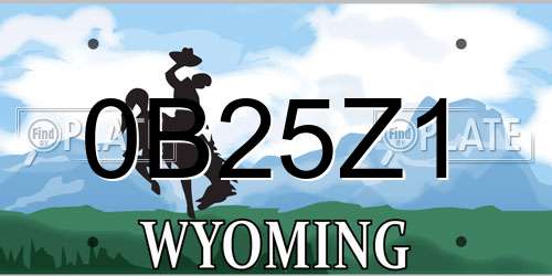 0B25Z1 Wyoming License Plate